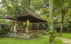 Manggis Sari Guesthouse